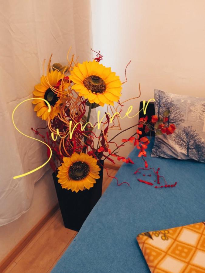 Studio Eva Sajmiste Esterno foto